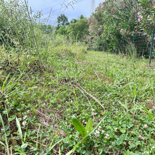  Annonces ANGLET : Ground | BIDART (64210) | 0 m2 | 480 000 &euro; 