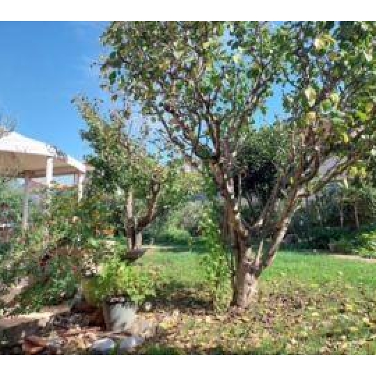  Annonces ANGLET : Maison / Villa | TARNOS (40220) | 105 m2 | 458 000 &euro; 