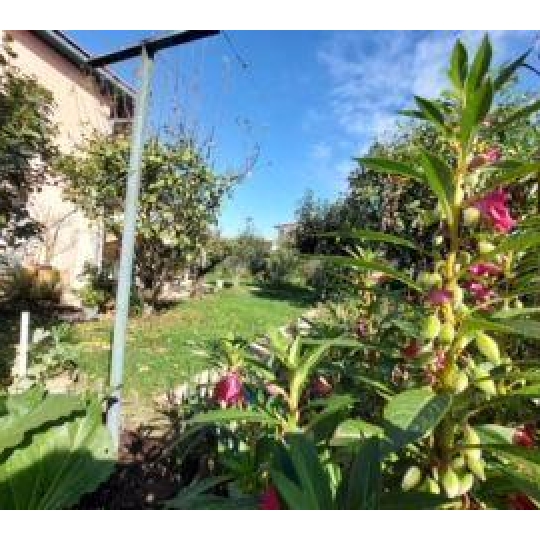  Annonces ANGLET : Maison / Villa | TARNOS (40220) | 105 m2 | 458 000 &euro; 