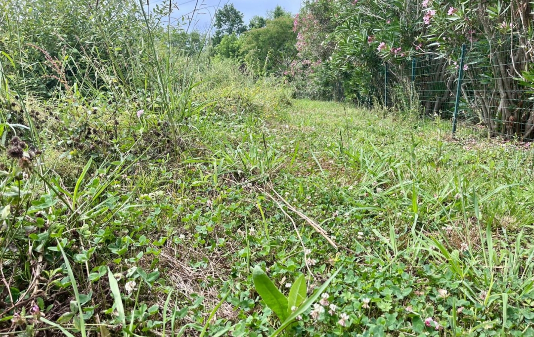 Annonces ANGLET : Ground | BIDART (64210) | 0 m2 | 480 000 &euro; 